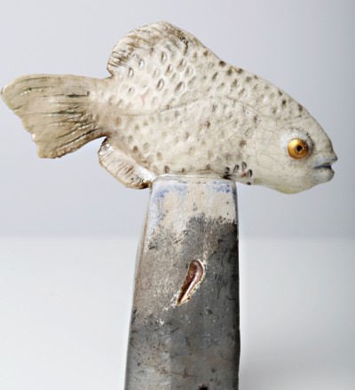 Photo of Judith McCrorie